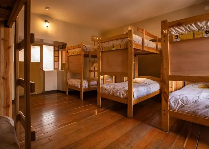 Hostel Ecopackers Hostels *